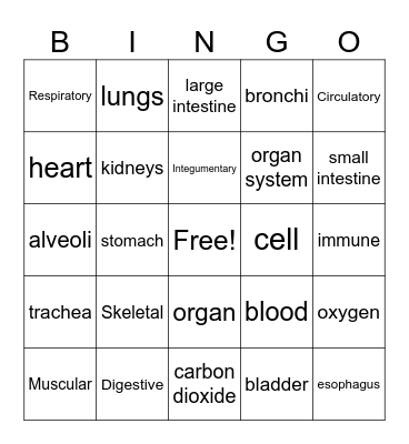 Body Systems Bingo Card