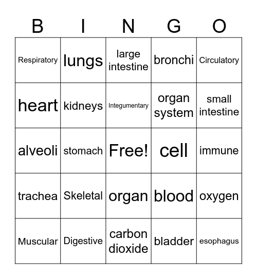 Body Systems Bingo Card