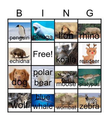 Animal Bingo Card
