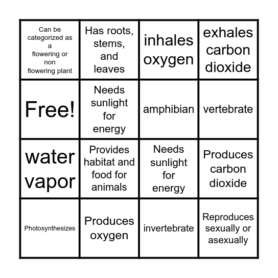 PLANT CHARACTERISTICS Bingo Card