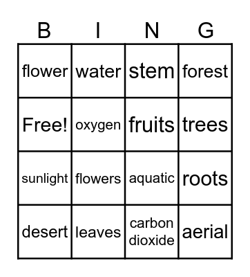 PLANT CHARACTERISTICS Bingo Card