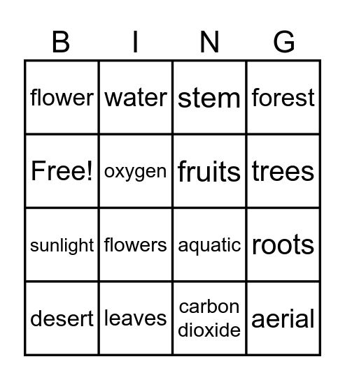 PLANT CHARACTERISTICS Bingo Card