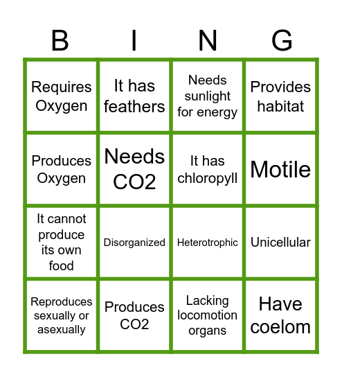 Plant Characteristics Bingo Card