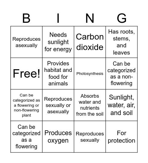 Plant Characteristic Bingo Card