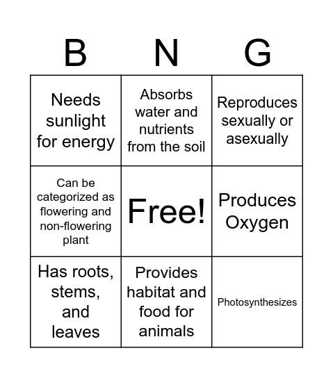 PLANT CHARACTERISTICS Bingo Card