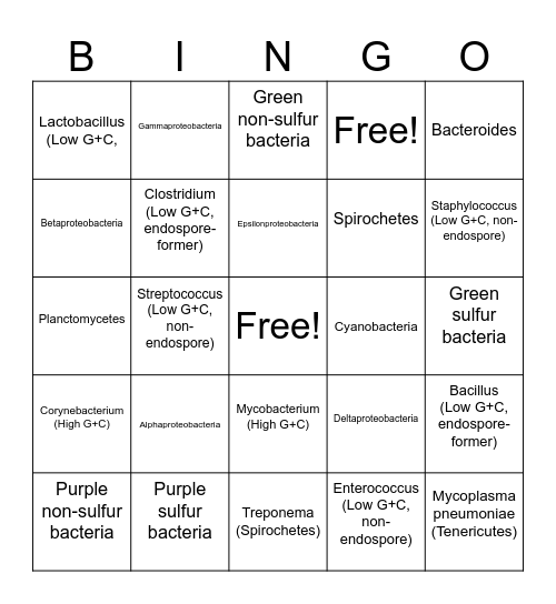 Bacterial Bingo Card