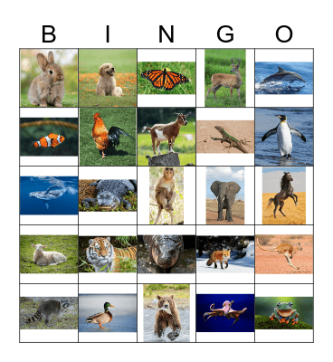 Animals Bingo Card