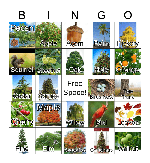 TREES Bingo Card