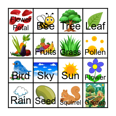 From Seed to Plant Bingo Card
