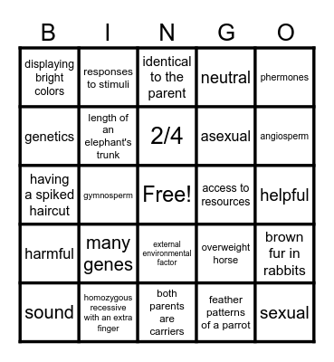 CMA Review Bingo Card