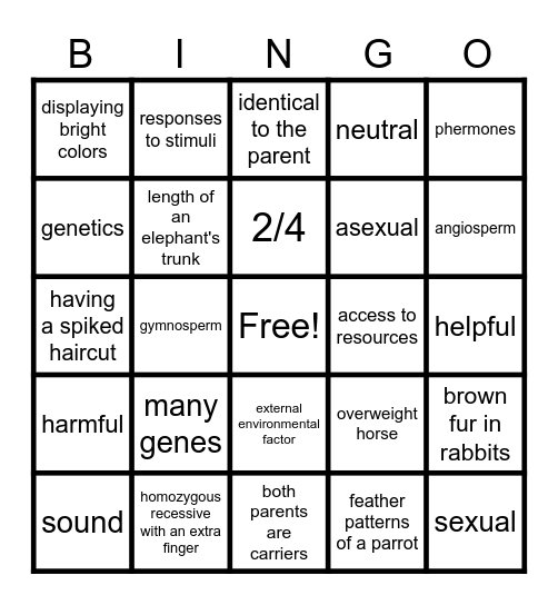CMA Review Bingo Card