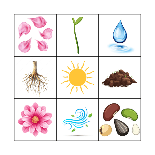BINGO DAS PLANTINHAS Bingo Card