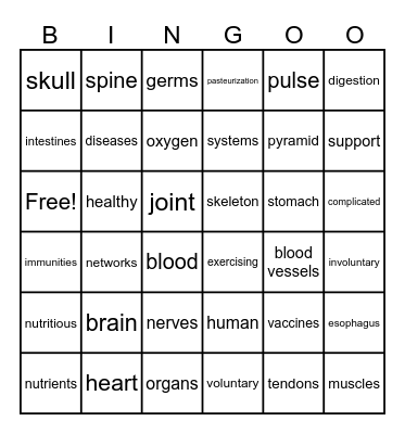 The Human Body Bingo Card
