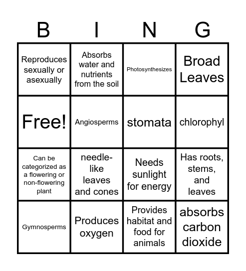 Plant Characteristics Bingo Card