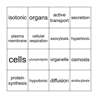 Vocabulary Bingo Card