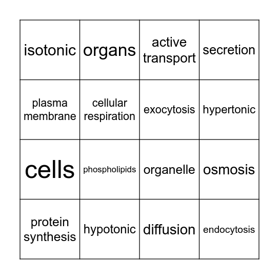 Vocabulary Bingo Card