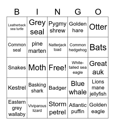 Round 4: Irish Wildlife Bingo Card