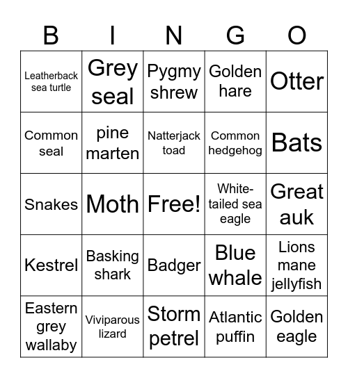Round 4: Irish Wildlife Bingo Card