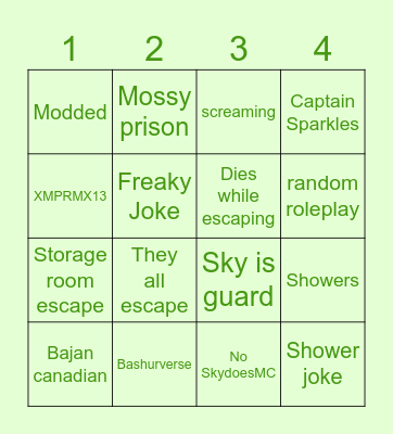 MC cops and robbers blackout Bingo Card