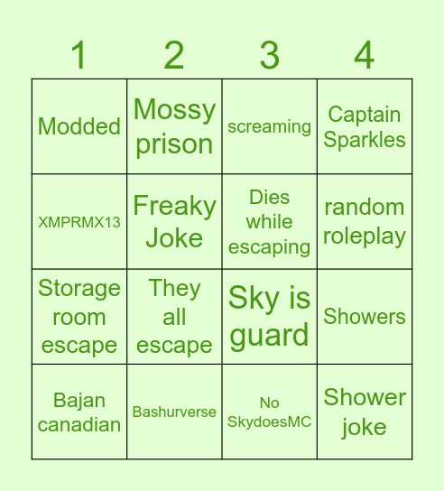 MC cops and robbers blackout Bingo Card