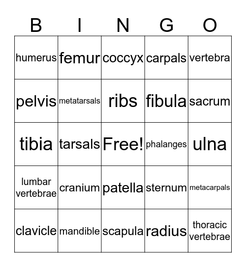 Skeleton Bingo Card
