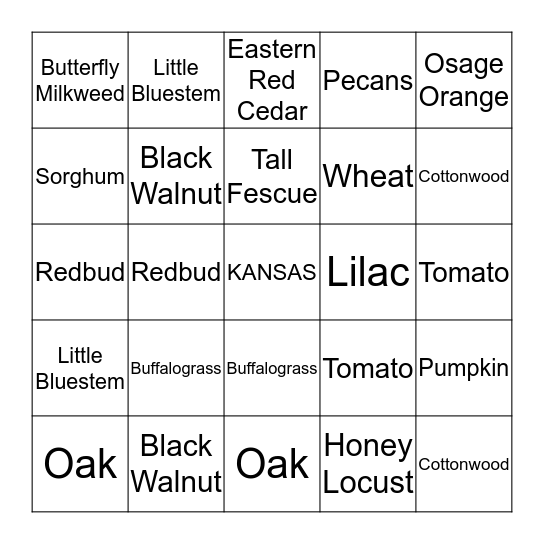 Plants of Kansas BINGO! Bingo Card