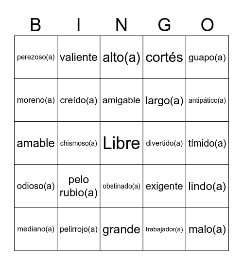 Ser Adjectives Bingo Card