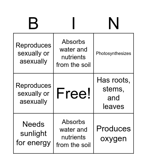 Characteristics of Plants Bingo Card