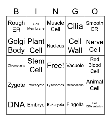 Unit 3 Cells Bingo Card