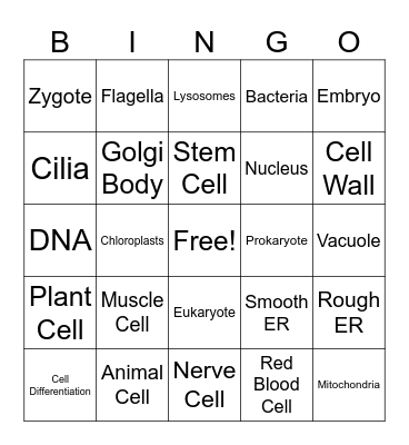 Unit 3 Cells Bingo Card