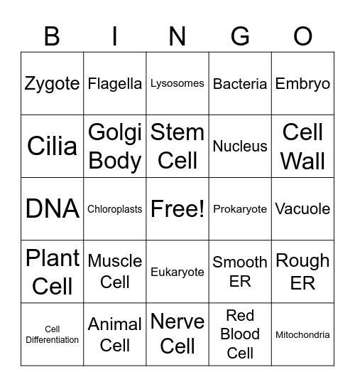 Unit 3 Cells Bingo Card