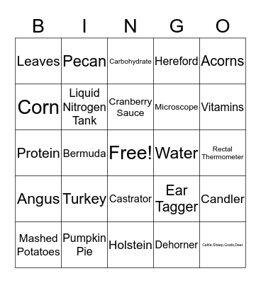 Thanksgiving Bingo Card