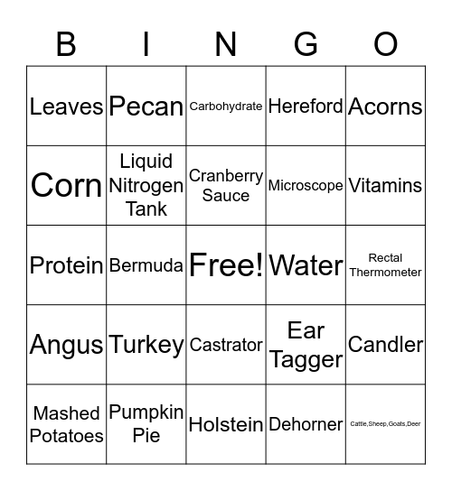 Thanksgiving Bingo Card