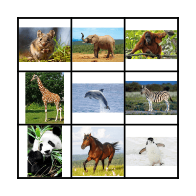 Animal BINGO Card