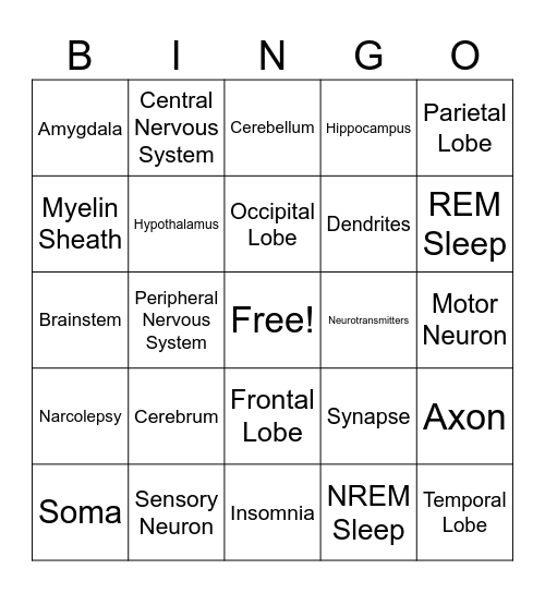 Psychology Mind and Body Bingo Card
