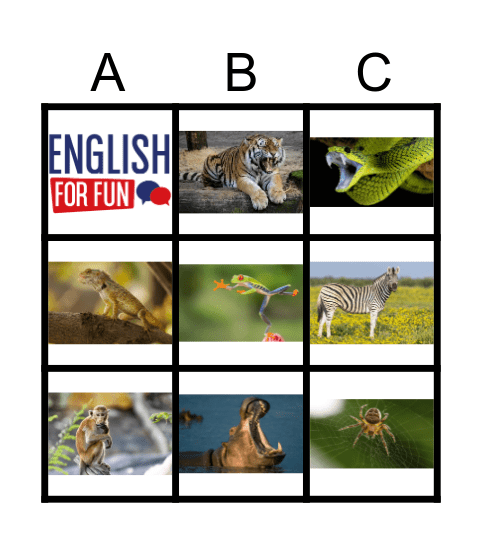 ANIMAL BINGO Card
