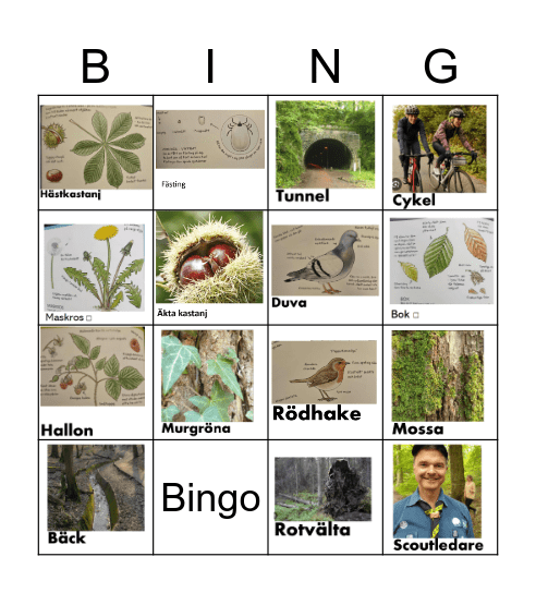 Naturbingo september Bingo Card