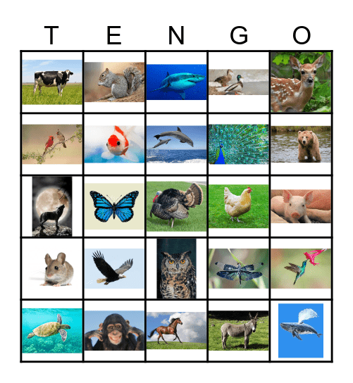 Animales: Senderos 3 Unidad 1 Bingo Card