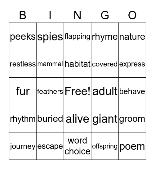 Reading Vocabulary Bingo Card