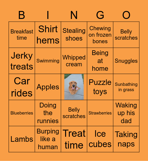 All about Cooper Bingo Card