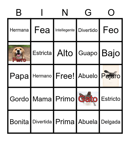Mi Familia Bingo Card