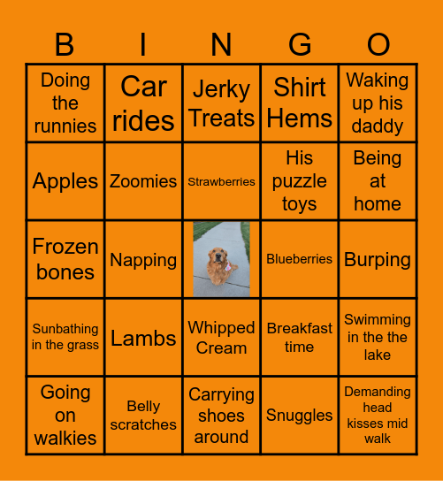 All about Cooper Bingo Card