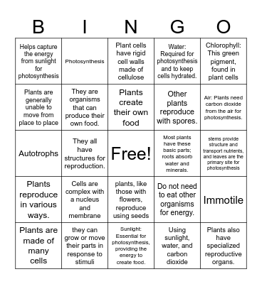 PLANT CHARACTERISTICS Bingo Card