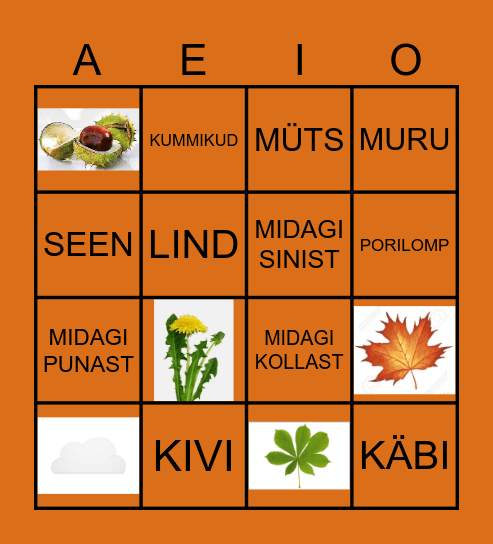 LOODUSE BINGO Card