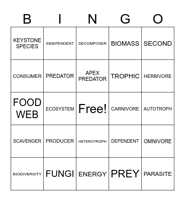 Ecology Review Bingo Card