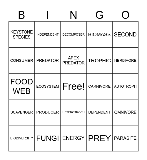 Ecology Review Bingo Card