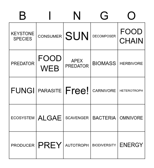 Ecology Review Bingo Card