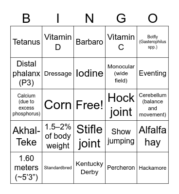 Equine & Wine Bingo Card