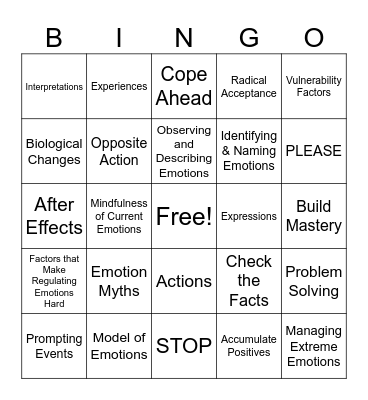 Emotion Regulation Bingo Card