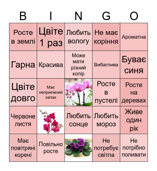 Орхідея Bingo Card
